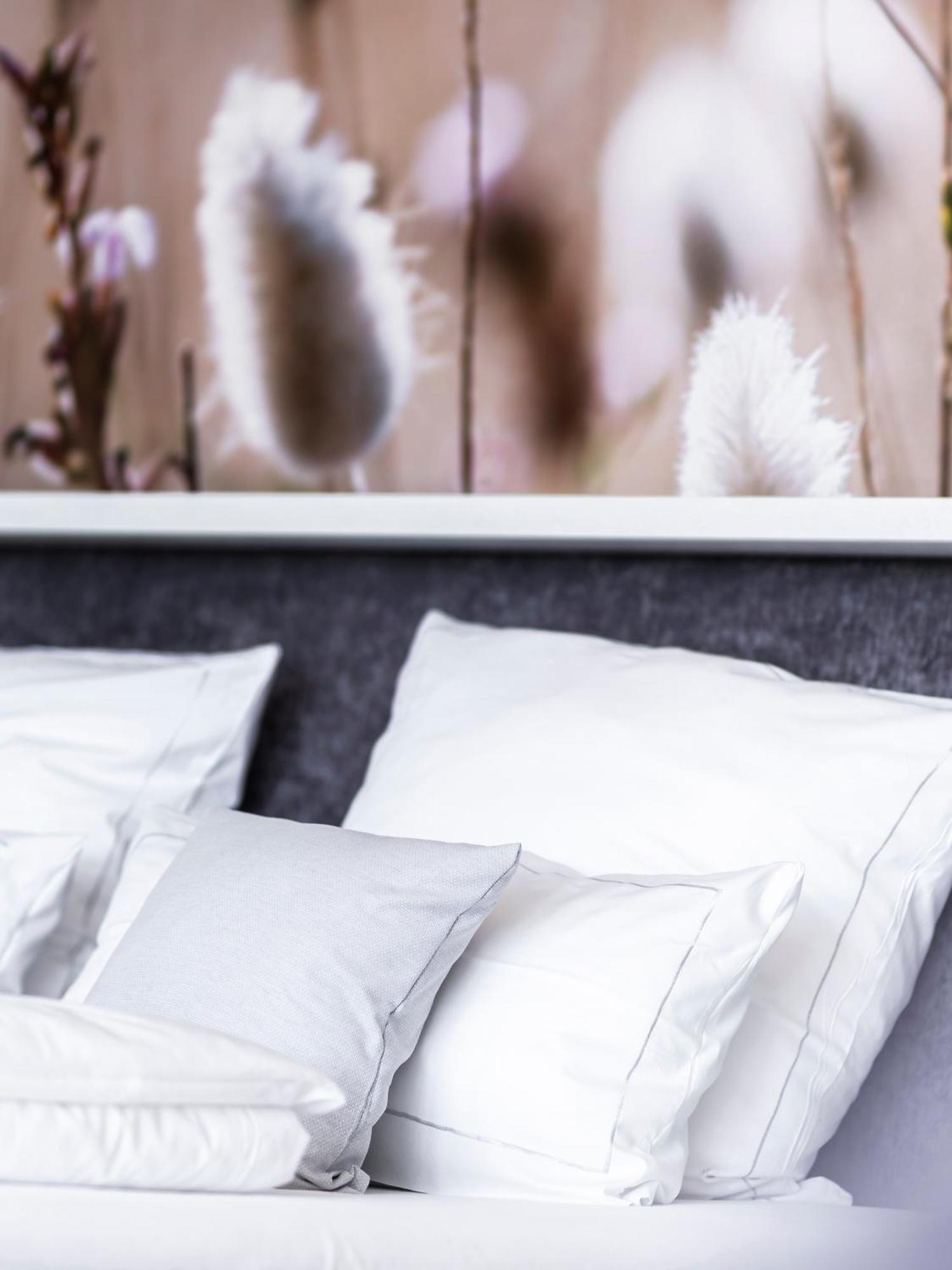 Aedenlife Hotel & Resort Ruegen 特伦特 外观 照片